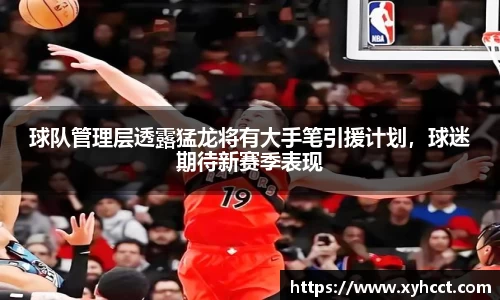 球队管理层透露猛龙将有大手笔引援计划，球迷期待新赛季表现