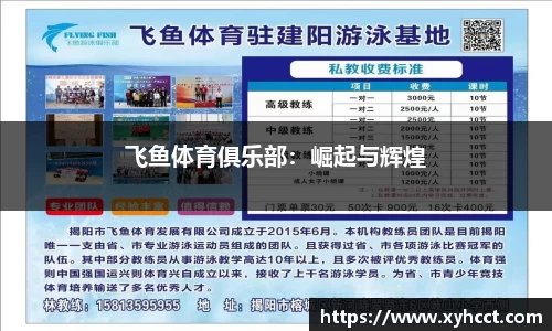 飞鱼体育俱乐部：崛起与辉煌