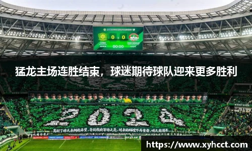 猛龙主场连胜结束，球迷期待球队迎来更多胜利