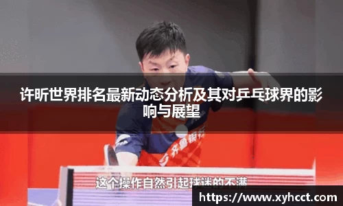 许昕世界排名最新动态分析及其对乒乓球界的影响与展望