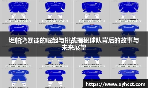 坦帕湾暴徒的崛起与挑战揭秘球队背后的故事与未来展望